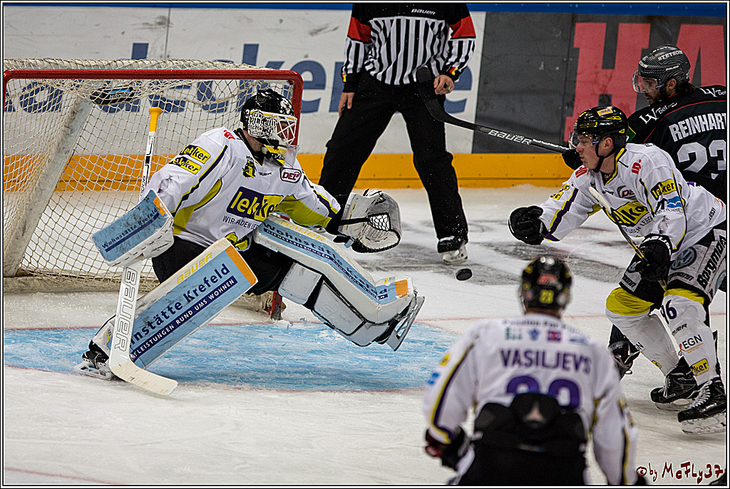 Koelner Haie - Krefelder Pinguine, 22.11.2016